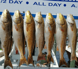 Biloxi Mixed Bag Trip