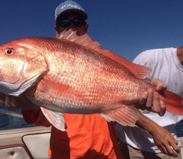 Biloxi Mixed Bag Trip