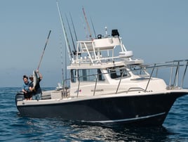 San Diego Champion Bluefin Trip