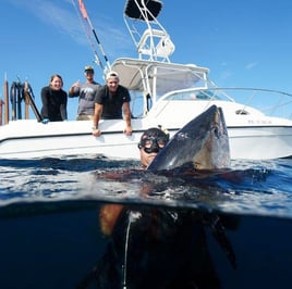 San Diego Champion Bluefin Trip