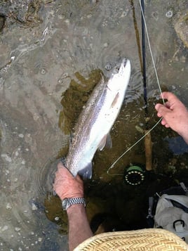 Lower Mountain Fork River