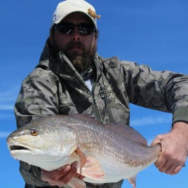 Port St. Joe Inshore Red-Bender