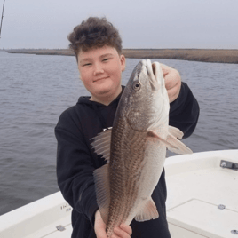 Calcasieu Lake Inshore Frenzy