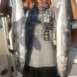 Tarpon Springs Intercoastal Trip