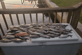 Tarpon Springs Inshore - 24’ Pontoon