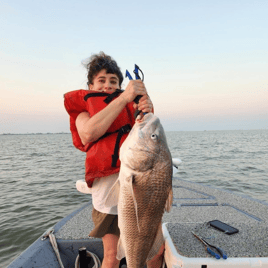 Black Drum Fishing in Galveston, Texas