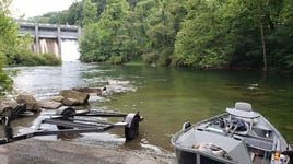 Tailwater Trout