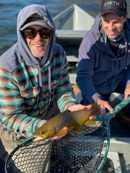 Tailwater Trout