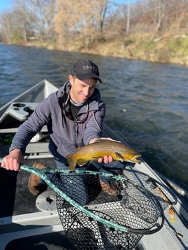 Tailwater Trout