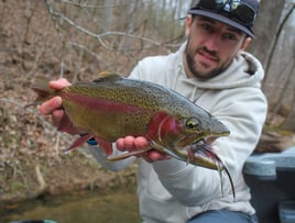 Tailwater Trout