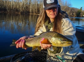 Tailwater Trout