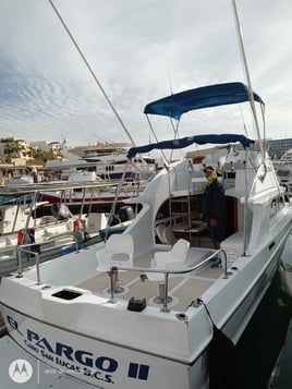 Classic Cabo Sportfish Trip