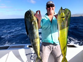 Classic Cabo Sportfish Trip