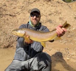 Michigan Streamer Trout Trip