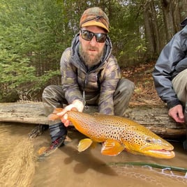 Michigan Streamer Trout Trip