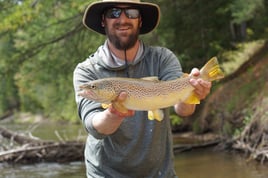 Michigan Streamer Trout Trip