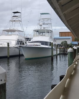 Orange Beach Tuna Expedition