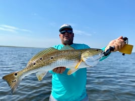 Big Reds, Trout, Flounder, Drum