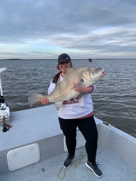 Black Drum Fishing in Freeport, Texas