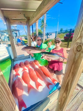 Keys Offshore Fishing Adventure