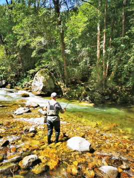 Fly Fishing the South of France