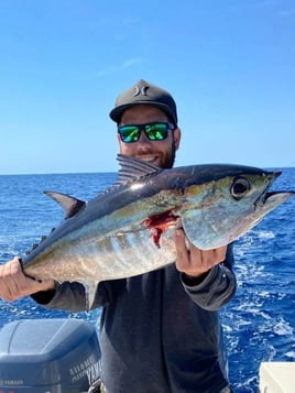 Yellowfin Tuna Fishing in New Smyrna Beach, Florida