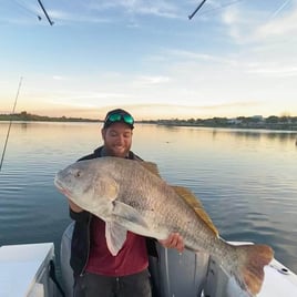 Inlet/River Trip - 26' Mako