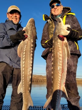 Walleye, Shad, and Sturgeon Trip