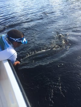 Puerto Rico Tarpon Excursion