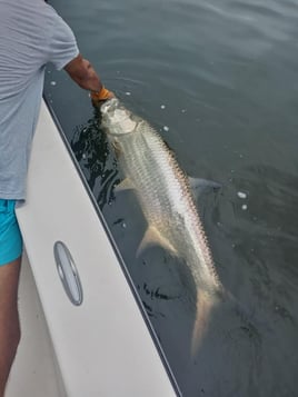 Puerto Rico Tarpon Excursion