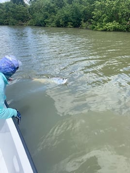 Puerto Rico Tarpon Excursion