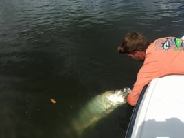 Puerto Rico Tarpon Excursion