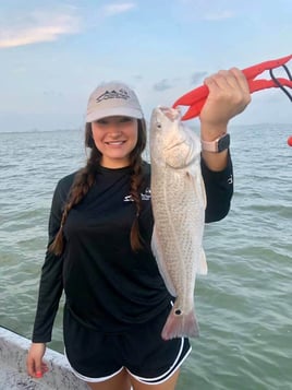 Nueces Bay "Texas Trio"