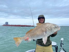 Nueces Bay "Texas Trio"