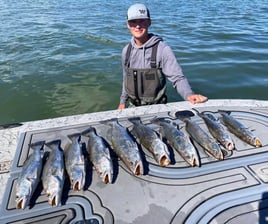 Nueces Bay "Texas Trio"