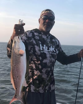 Quick Redfish and Trout Roundup