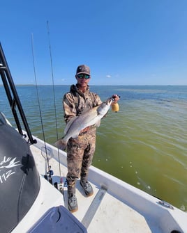 Quick Redfish and Trout Roundup