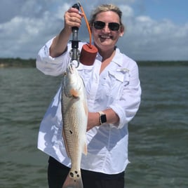 Quick Redfish and Trout Roundup