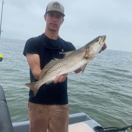 Quick Redfish and Trout Roundup