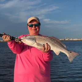 Quick Redfish and Trout Roundup