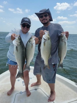 DFW Area Big Bass