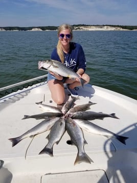 DFW Area Big Bass