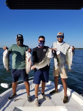 DFW Area Big Bass