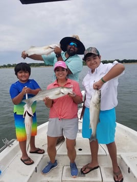 DFW Area Big Bass