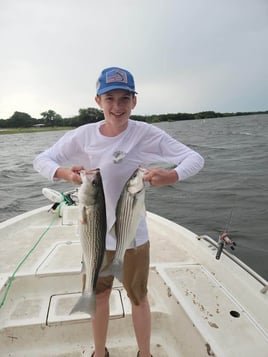 Weekends Chasing Stripers