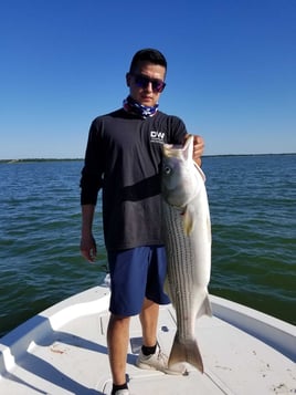 DFW Area Big Bass