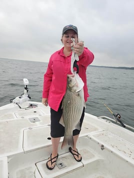 Weekends Chasing Stripers