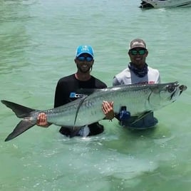 Tampa Bay Tarpon Roundup