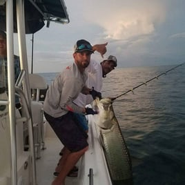 Tarpon Fishing in St. Petersburg, Florida