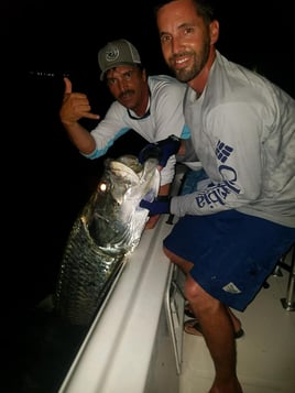 Tampa Bay Tarpon Roundup